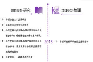 用鸡巴捅逼软件非评估类项目发展历程